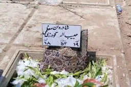 روزنامه‌نگار قدیمی به خاک سپرده شد