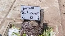 داریوش مصطفوی درگذشت
