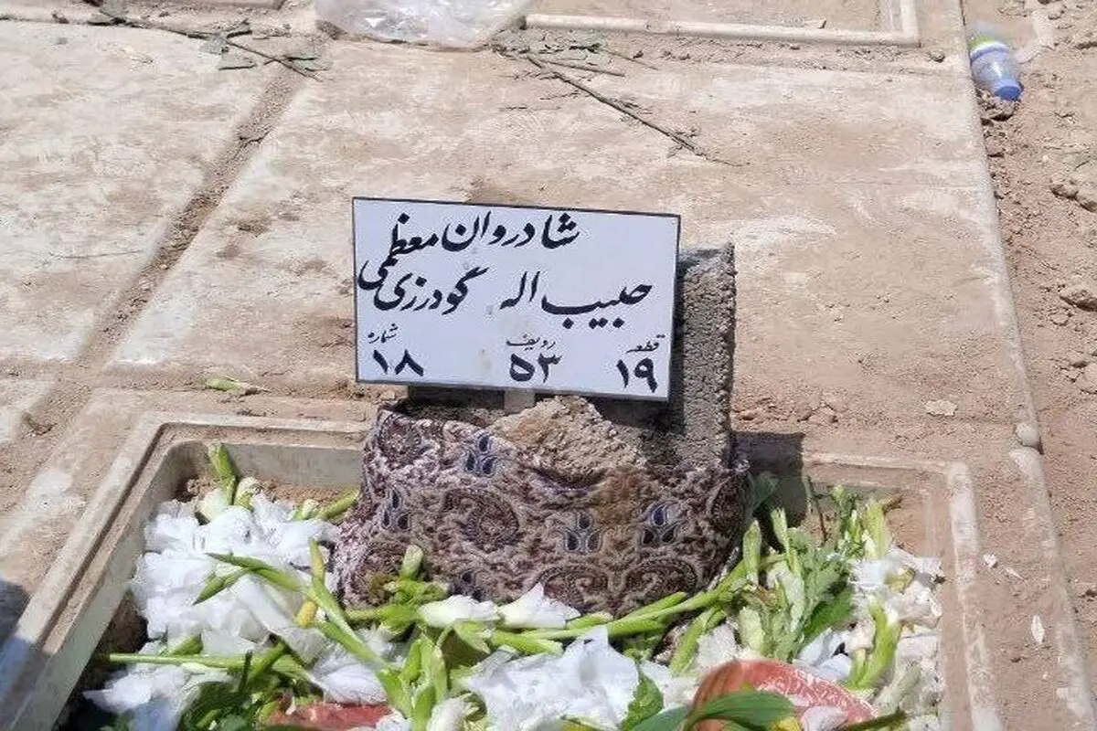 روزنامه‌نگار قدیمی به خاک سپرده شد