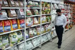 افزایش قیمت کالاهای اساسی در راه است؟