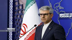 پیگیر وضعیت شهروند بازداشت‌شده در فرانسه هستیم / فرانسه دسترسی کنسولی را فراهم کند
