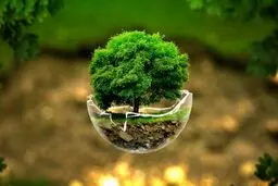 مرجعیت ملی کنوانسیون تنوع زیستی دست چه کسی است؟