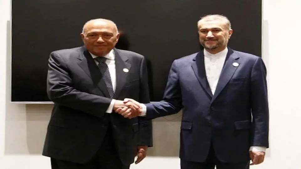 Iran, Egypt foreign ministers meet on OIC summit sidelines