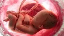 نه به قوانین سلبی افزایش جمعیت