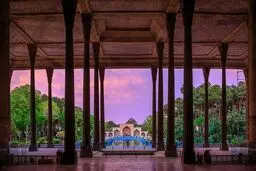 درختان چهلستون در حال خشک شدن هستند + جزییات