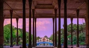 درختان چهلستون در حال خشک شدن هستند + جزییات