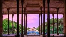 درختان چهلستون در حال خشک شدن هستند + جزییات
