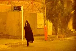 انتشار مجدد دود حریق هورالعظیم/ اهواز در وضعیت اضطراری قرار گرفت

