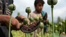 توضیح مهاجرانی درباره سخنان سخنان پزشکیان در اردبیل