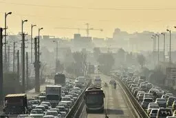 امیدواری در روزگار عسرت
