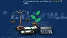 دولت بازتوزیعی
