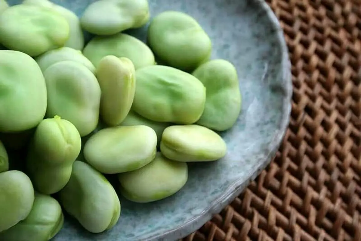 مصرف باقالا برای این افراد ممنوع
