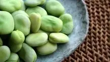 روغنی طبیعی برای کاهش کلسترول خون