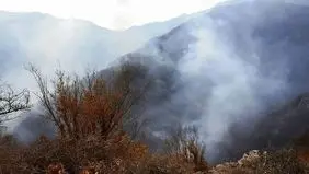 جزئیات جدید از امدادرسانی به جنگل هیرکانی الیت