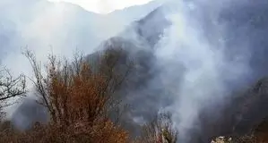 جزئیات جدید از امدادرسانی به جنگل هیرکانی الیت