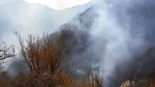 جزئیات جدید از امدادرسانی به جنگل هیرکانی الیت