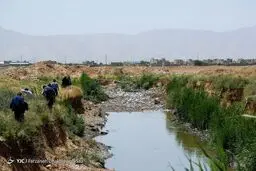 شعار دهان‌پر‌کن هفته محیط زیست در ایران