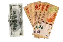 وداع آرژانتین با ارز دولتی
