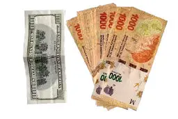 وداع آرژانتین با ارز دولتی
