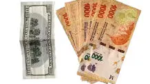 وداع آرژانتین با ارز دولتی
