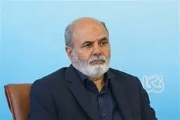 حضور دبیر شورای عالی امنیت ملی در نشست بریکس در آفریقای جنوبی

