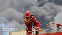 دل هنرمندان برای بندرعباس لرزید
