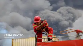 دل هنرمندان برای بندرعباس لرزید

