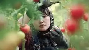 روایتی از جان‌به‌دوشی بی‌پایان