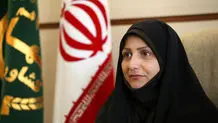کاهش خرید تضمینی گندم / مطالبات گندمکاران پرداخت شد
