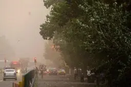 وزش باد شدید و خیلی شدید و رگبار پراکنده در تهران