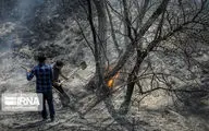 تلاش‌ها برای اطفاء حریق در اراضی جنگلی رودبار گیلان ادامه دارد