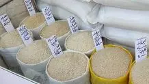 جدیدترین قیمت برنج ایرانی در بازار/ برنج هاشمی و طارم عطری کیلویی چند شد؟

