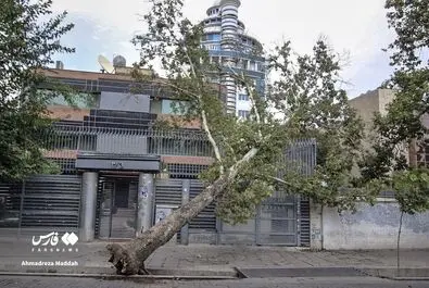 وزش تندباد در شیراز
