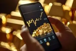 پناهی برای مدیریت دارایی