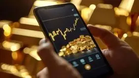 پناهی برای مدیریت دارایی