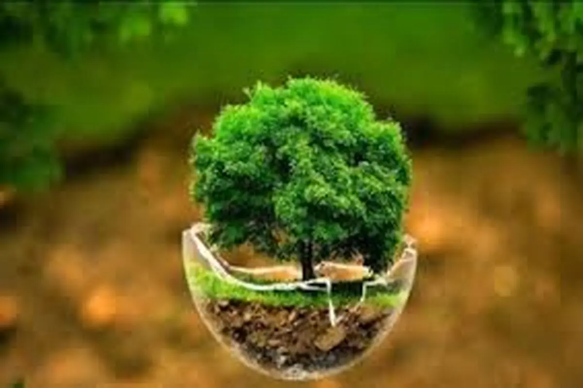 جای خالی گیاه‌خواری در سیاست‌های محیط‌زیستی کشور
