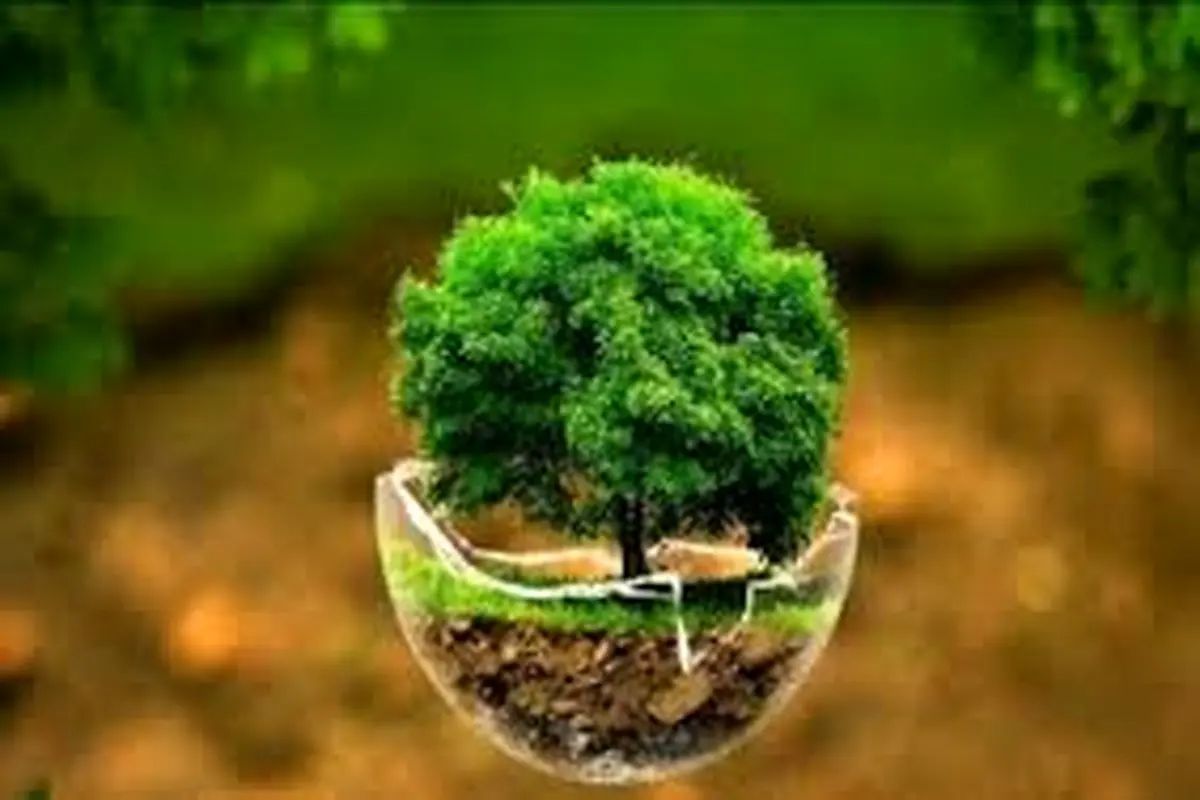 جای خالی گیاه‌خواری در سیاست‌های محیط‌زیستی کشور
