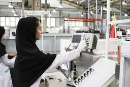 کروز؛ جایی برای پیشرفت و توسعه فردی کارجویان

