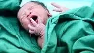 استفتای جدید  درباره وطن فرزندان / تکلیف وطن نوزاد  اگر  ۶ ماه بماند یا ۵ سال بماند مشخص شد