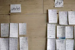 ماندگاری سکونت
