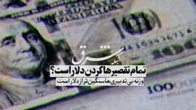 تمام تقصیرها گردن دلار است