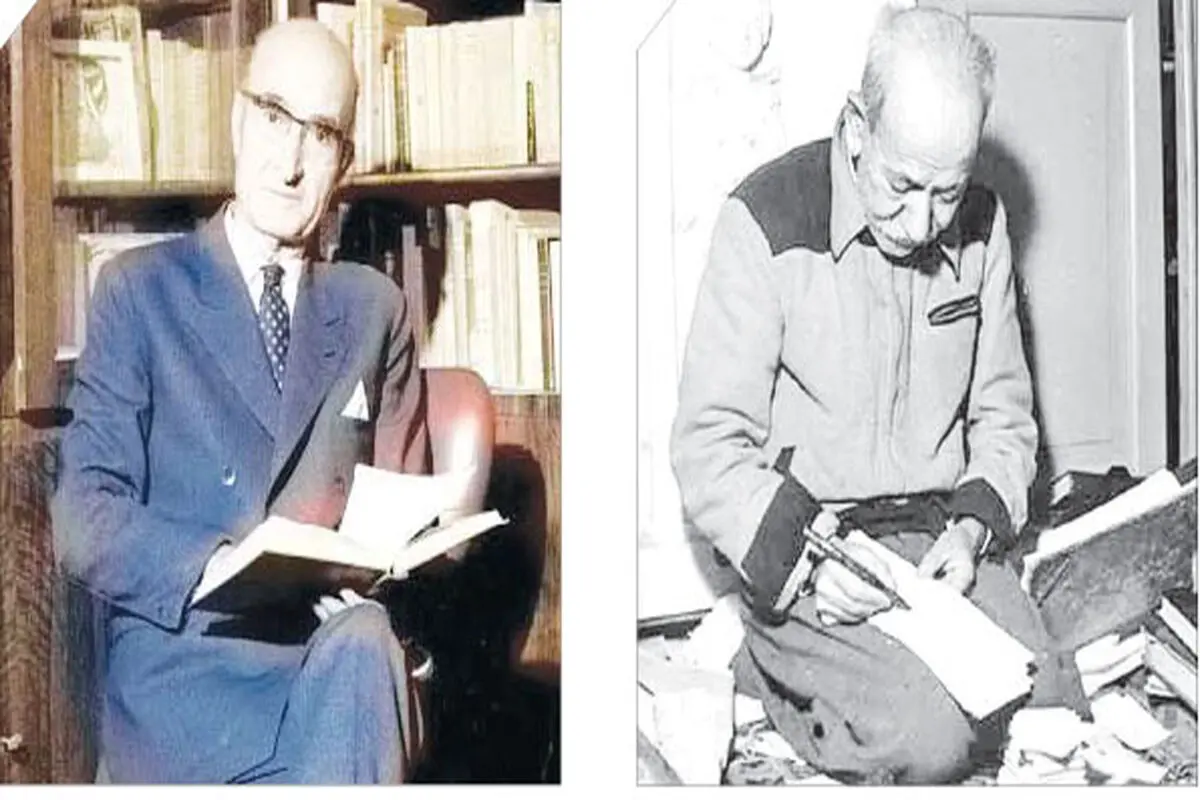 صنفی، سیاسی است
