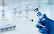 وزیر بهداشت: واکسن سازهای داخلی می‌توانند صادرات انجام دهند