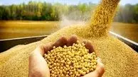 توزیع ۷۵ تن کالای اساسی برای حمایت از تولید کنندگان البرزی
