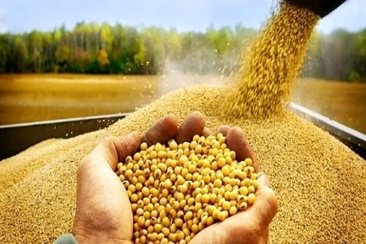 توزیع ۷۵ تن کالای اساسی برای حمایت از تولید کنندگان البرزی
