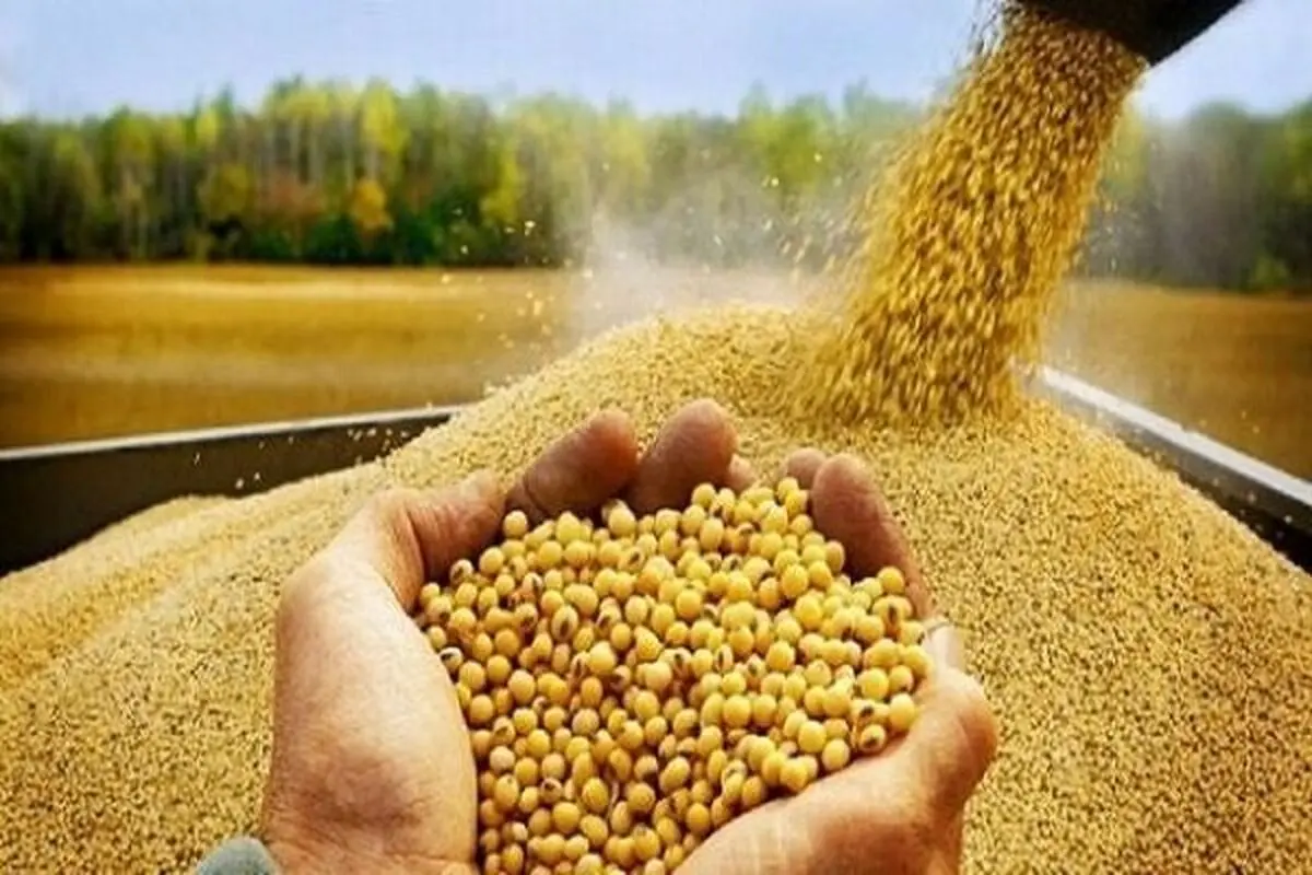 توزیع ۷۵ تن کالای اساسی برای حمایت از تولید کنندگان البرزی
