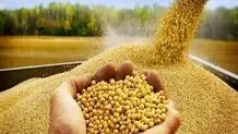 توزیع ۷۵ تن کالای اساسی برای حمایت از تولید کنندگان البرزی
