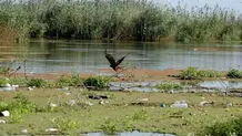 سند تمام تالاب‌ها به نام سازمان حفاظت محیط‌ زیست زده می‌شود

