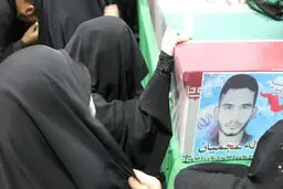برادر عجمیان: دو نفری که اعدام شدند جرم شان محاربه بود/ ربطی به قتل برادرم نداشت

