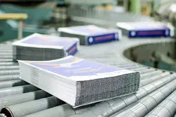 تقلیل نظارت مردمی به خبرچینی
